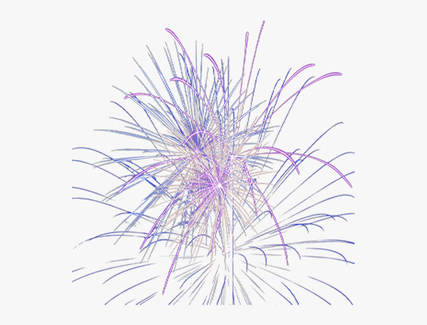 Purple Firework Overlay - Marine Invertebrates, HD Png Download