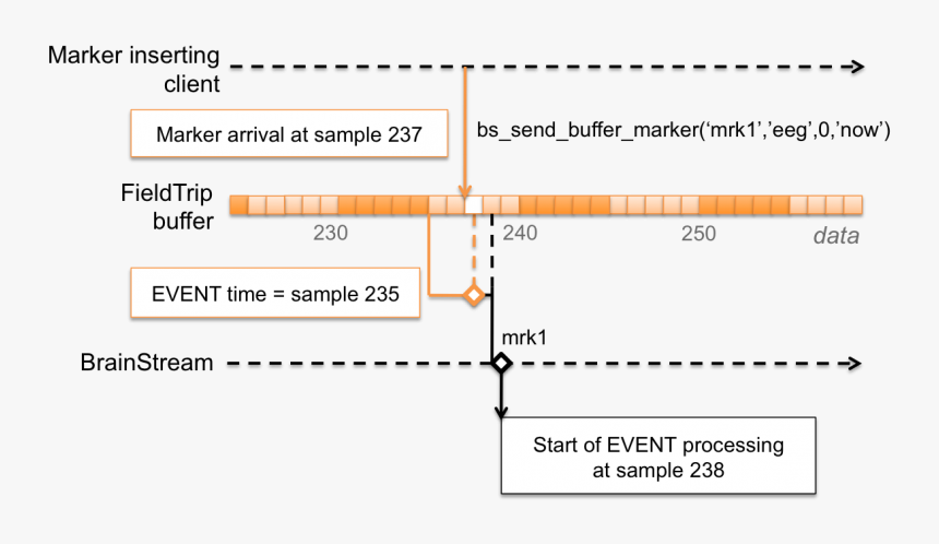 Screenshot, HD Png Download