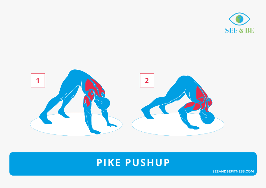 Push Up Rows Muscles, HD Png Download