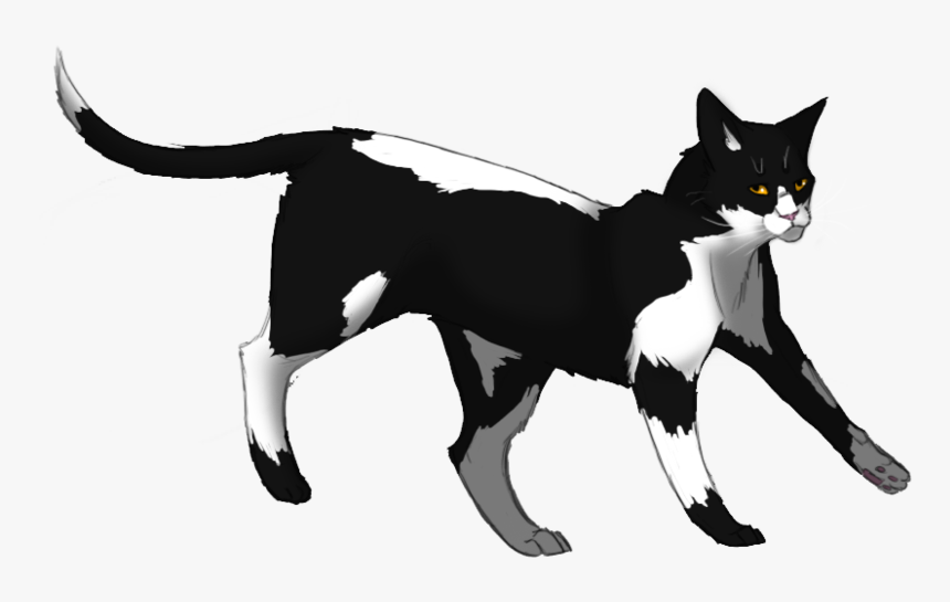 Swiftpaw - Warrior Cats Swiftpaw, HD Png Download