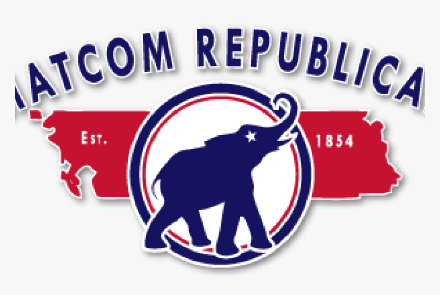 Home - Indian Elephant, HD Png Download