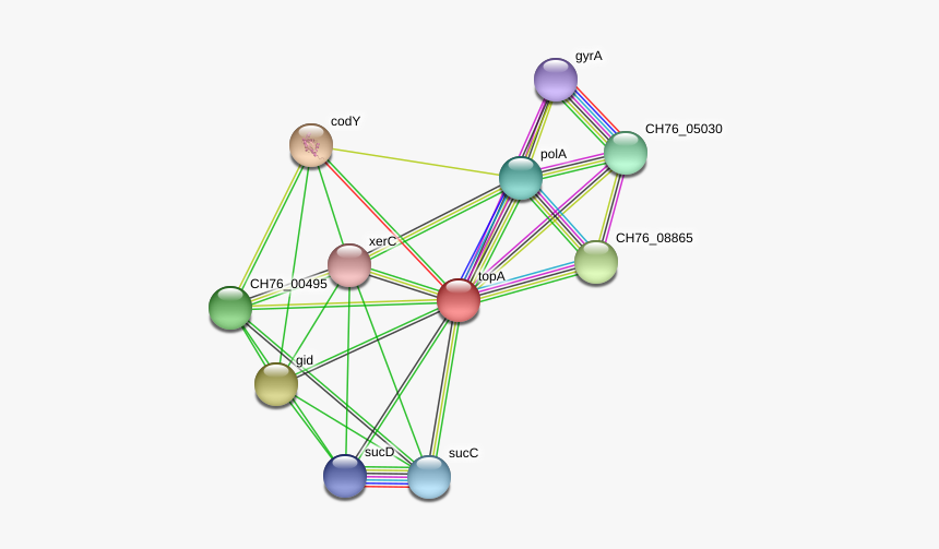 Topa Protein - Circle, HD Png Download