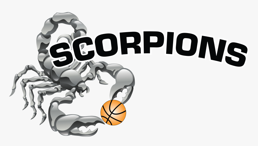 Scorpion Basketball, HD Png Download