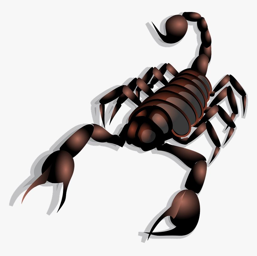 Scorpion Clip Art, HD Png Download