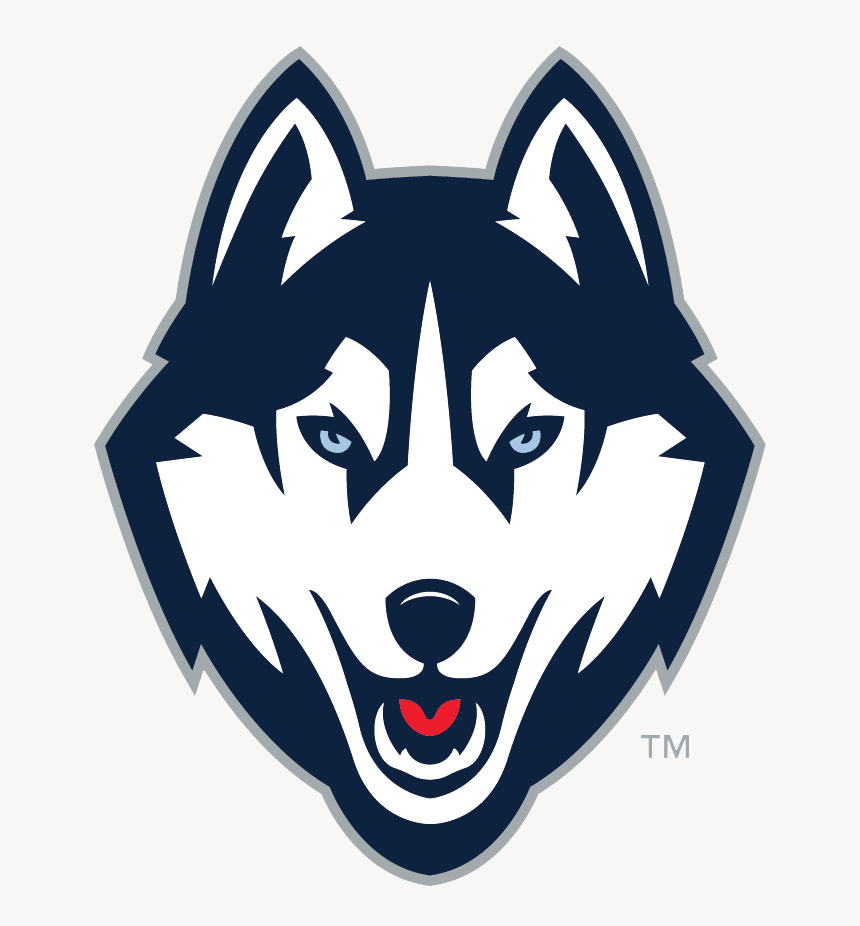 Charlotte Bobcats Logo Lineart - Uconn Logo, HD Png Download