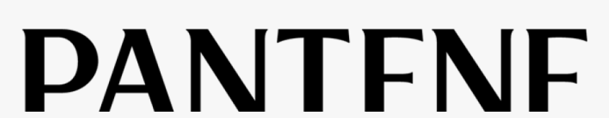 Wonderful Start In 2019 With A Lovely New Client, HD Png Download