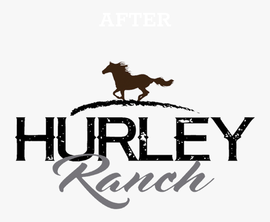 Stallion, HD Png Download