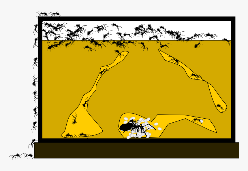 Ant Farm Clip Arts - Clip Art Ant Farm, HD Png Download