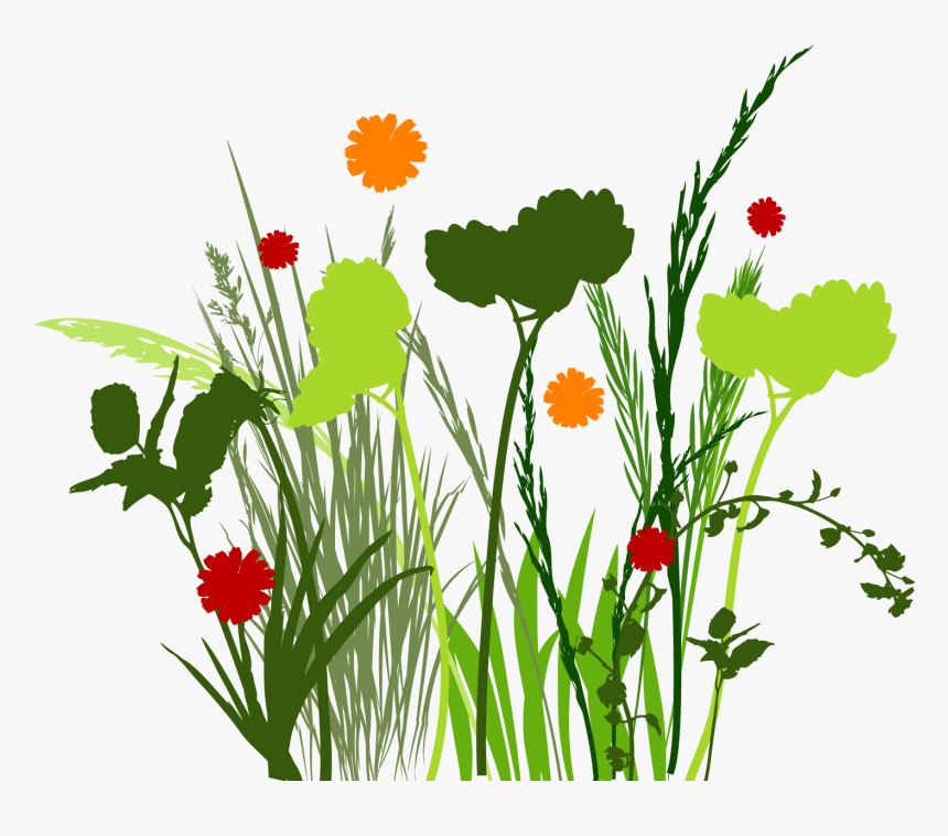 Spring Meadow High Res Photoshop Brushes Freebie - Flores Ornamentais Em Png, Transparent Png