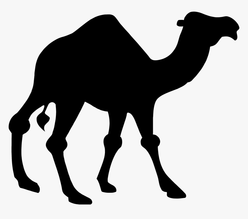 Silhouette Big Image Png - Clipart Camel, Transparent Png