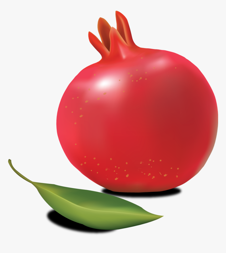 Download Image Of Pomegranate, HD Png Download
