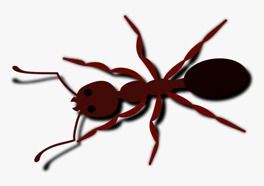 Vector Ant Png - Ant Clip Art, Transparent Png