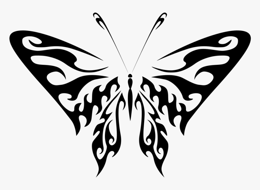Butterfly Line Art Clipart Black Drawing Butterfly Egg, HD Png