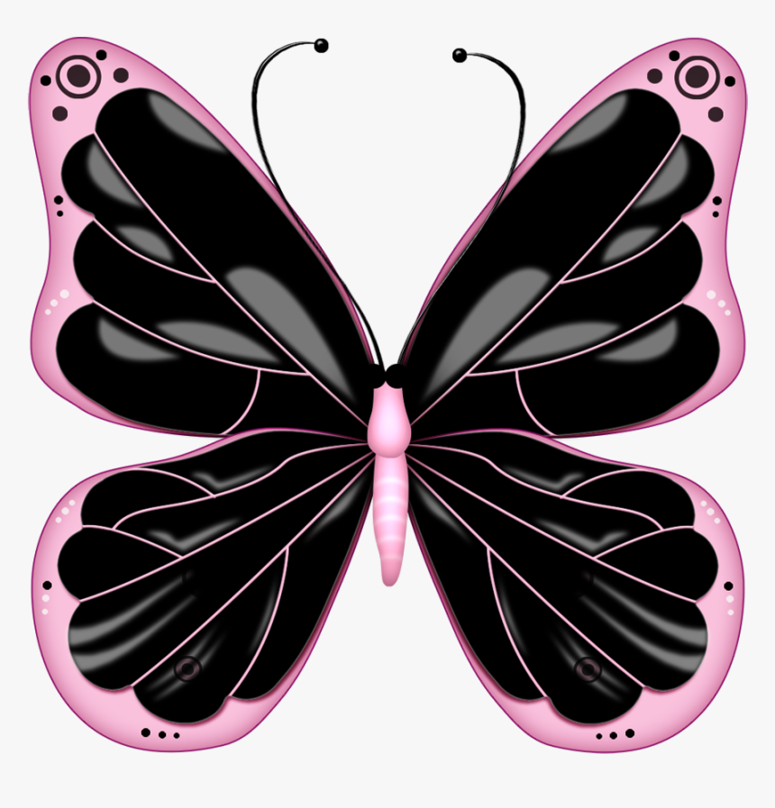 Butterfly Black And Pink, HD Png Download