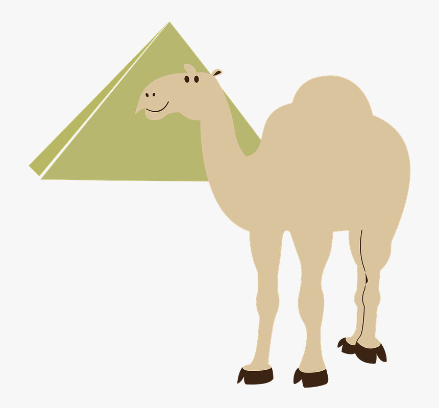 With Pyramid Clip Art - Camel In Pyramids Vector, HD Png Download