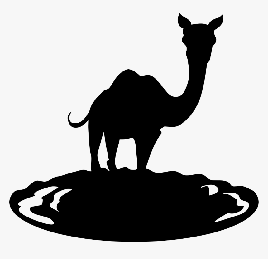 Latest Camel Journey Transparent & Png Clipart Free - Portable Network Graphics, Png Download