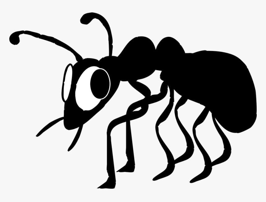 White Ant Png Clipart