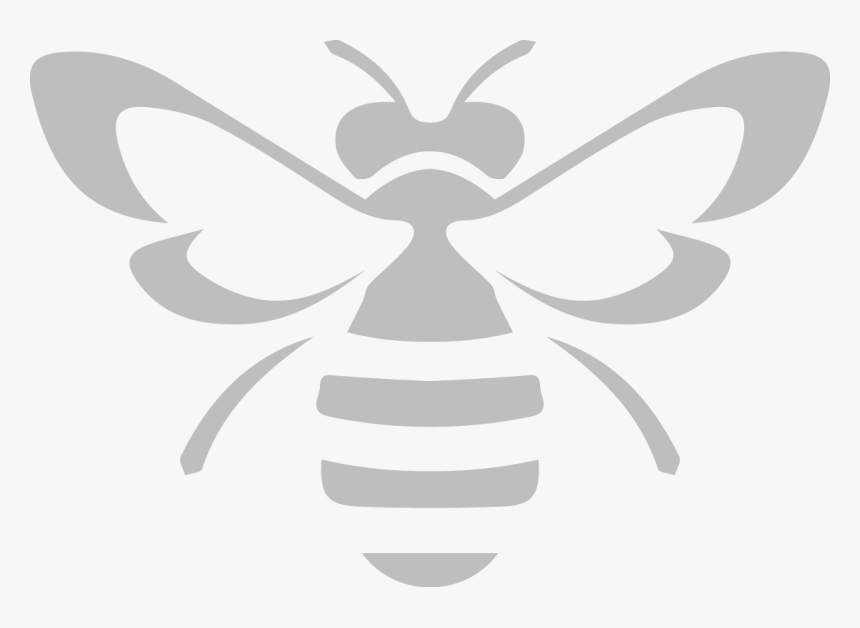 Insect,wing,membrane Winged Insect,black And White,design,clip - Black White Bee Png, Transparent Png