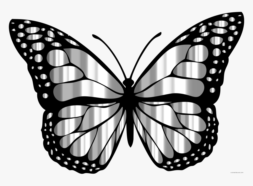 Monarch Butterfly Clipart Png Full Hd - Butterfly Images Png Hd, Transparent Png