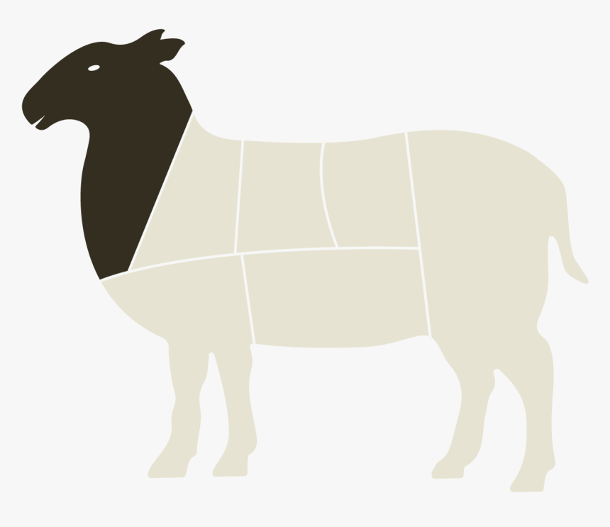 Sheep Horse Cattle Mammal Camel - Horse, HD Png Download
