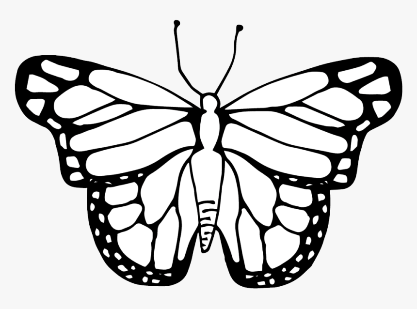 Butterfly Clipart Coloring Worksheets Transparent Png - Clipart Image Of A Butterfly, Png Download
