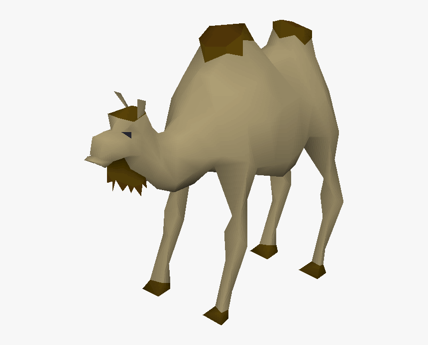 Clip Art Al The Old School - Old School Runescape Camel, HD Png Download