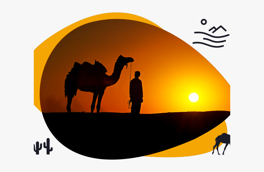 Transparent Camels Clipart - Desert Safari Clipart Png, Png Download