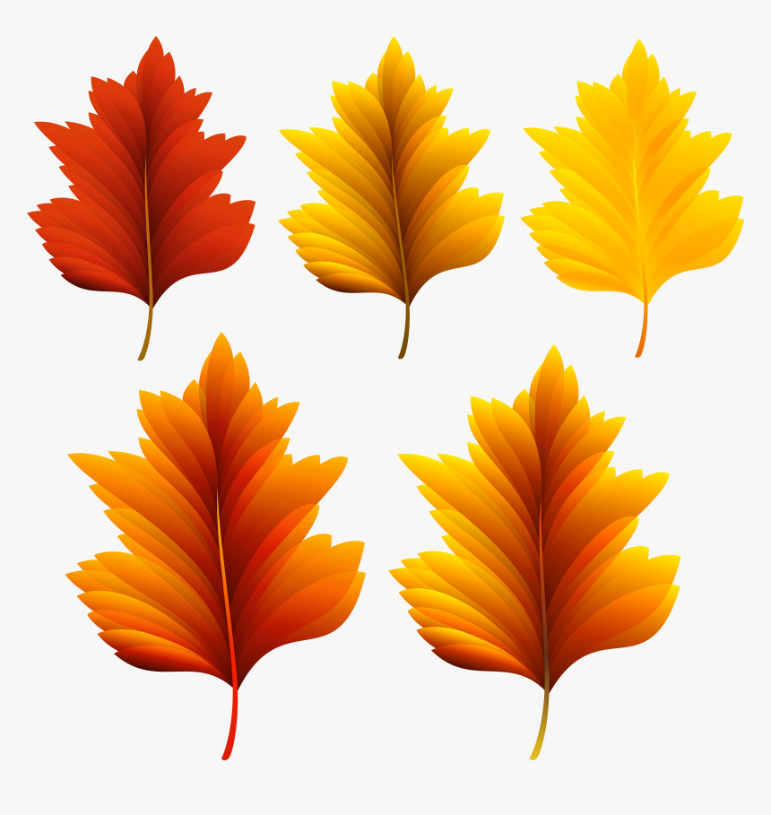 Autumn Leaf Color Clip Art, HD Png Download