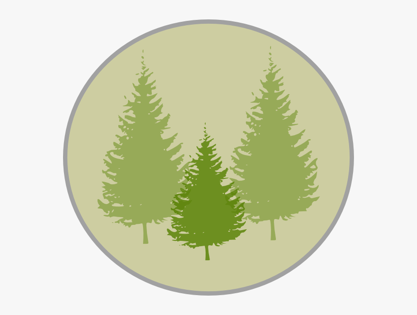 Fir Tree Clipart Three Pine - Pine Tree Silhouette Png, Transparent Png