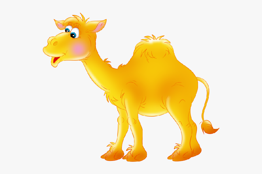 Funny Camel Pictures Clipart - Верблюд На Прозрачном Фоне, HD Png Download