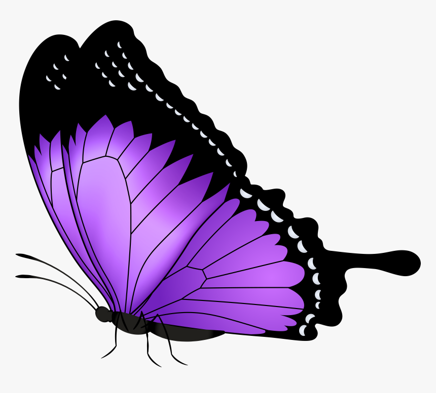 Download Purple Butterfly Transparent Clipart Photo, HD Png Download