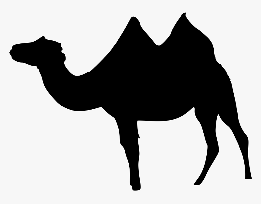 Transparent Fox Silhouette Png - Bactrian Camel, Png Download