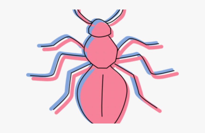 Ant, HD Png Download