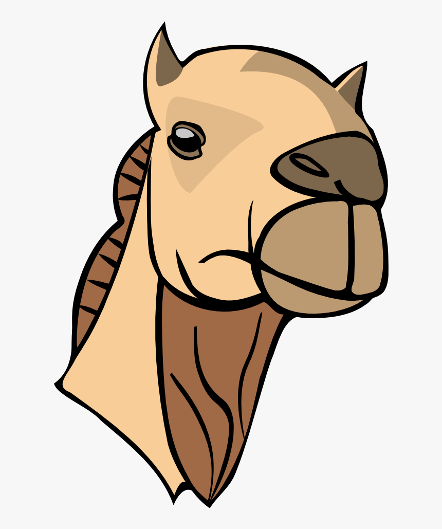 Camel Head - Camel Clipart Head, HD Png Download