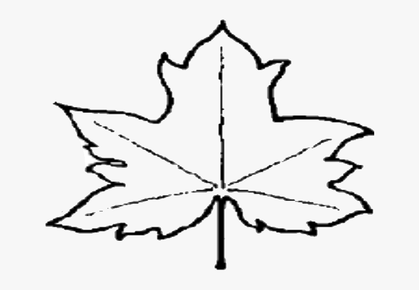 Thumbnail For Version As Of - Out Line Picture Of Leaves, HD Png Download