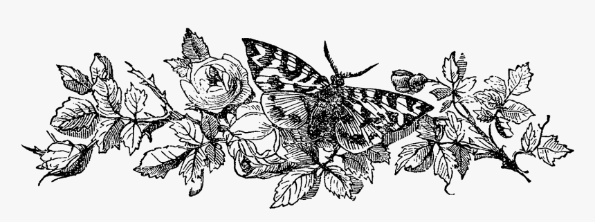 Black Flower Vintage Png, Transparent Png