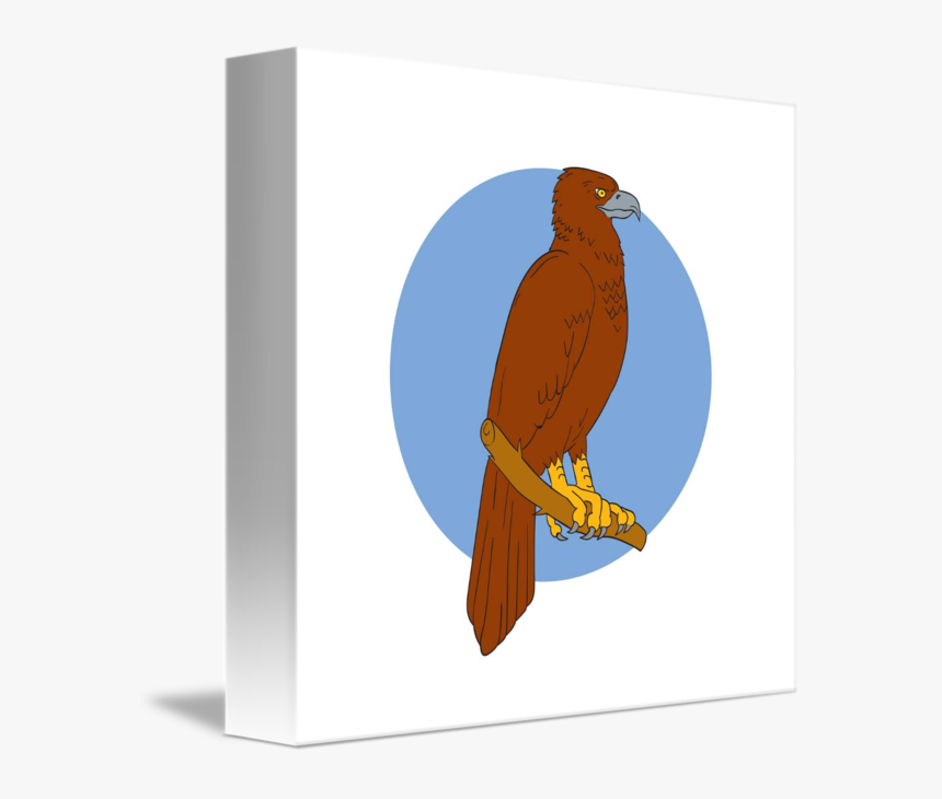 Transparent Eagle Outline Png - Wedge-tailed Eagle, Png Download