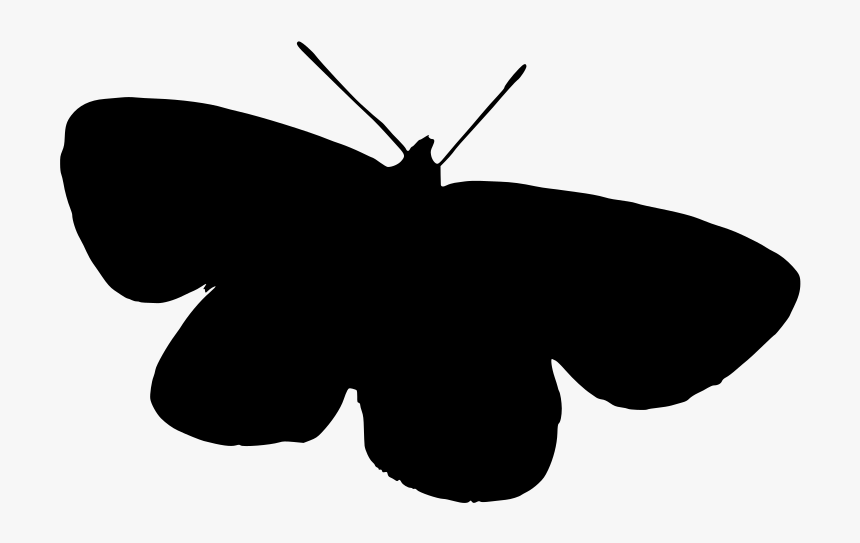 Transparent Butterfly Clipart Png Black And White - Brush-footed Butterfly, Png Download