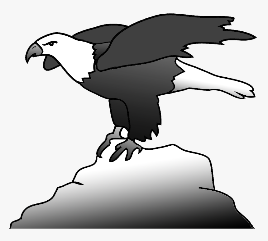 Bald Eagle On A Rock Clipart - Bald Eagle, HD Png Download