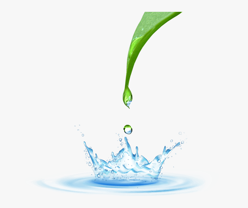 Transparent Water Drop Png - Png Water & Drop, Png Download