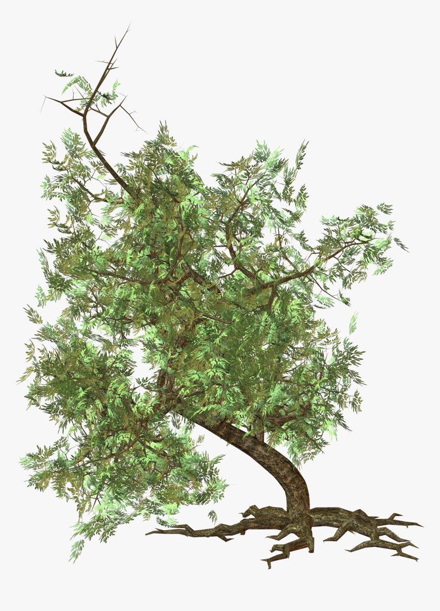 Green Tree Clipart - Blocos Sketchup Vegetação, HD Png Download
