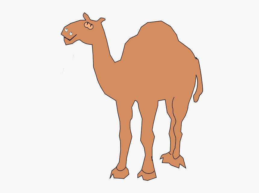 Clipart - Camel - Camel, HD Png Download