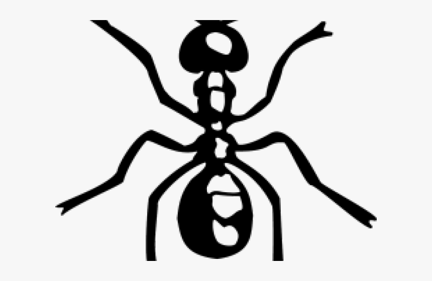 Drawn Ant Simple Clipart , Png Download - Ant Clipart, Transparent Png