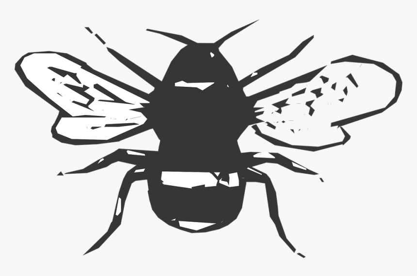 Black, White, Bee, Stripes, Wings, Insect - Birthday, HD Png Download