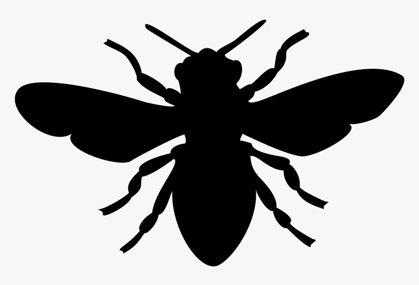 Big Image Png - Bee Image Black And White, Transparent Png