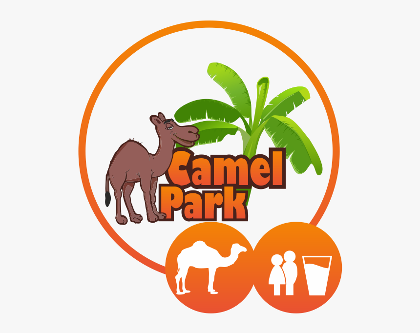 Camel Ride Appetizer, HD Png Download
