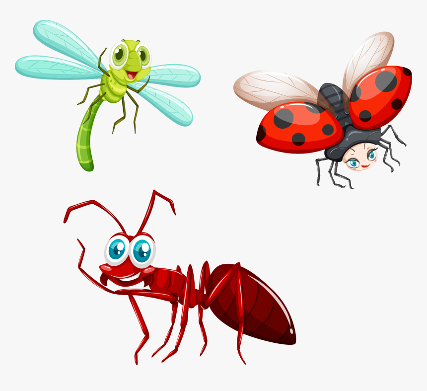 Fly Clip Art - Black Ant Clip Art, HD Png Download