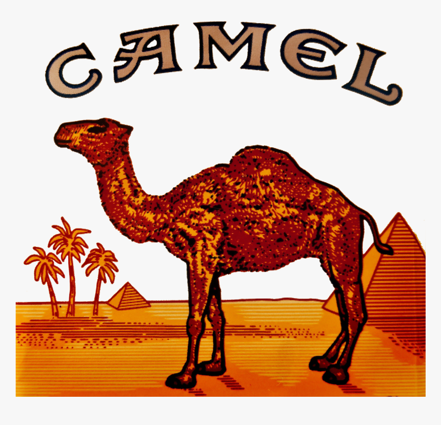 Camel Logo Clipart Camel Cigarette Logo - Camel Cigarette Pack, HD Png Download