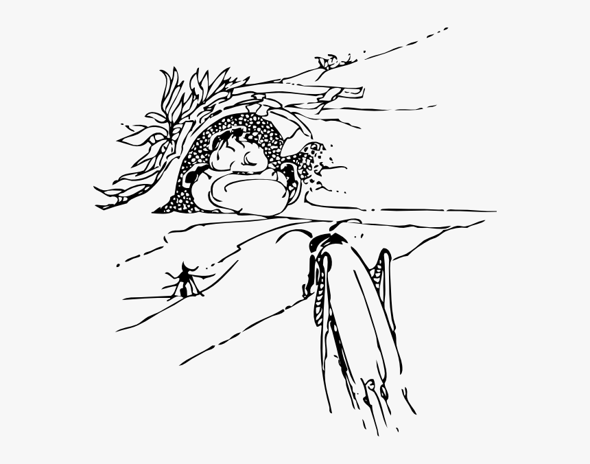 Ant And Grasshopper Drawing, HD Png Download
