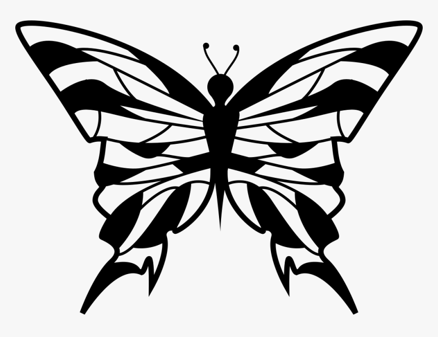 Clip Art Butterfly Top View - Portable Network Graphics, HD Png Download
